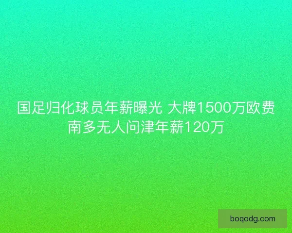 国足归化球员年薪曝光 大牌1500万欧费南多无人问津年薪120万