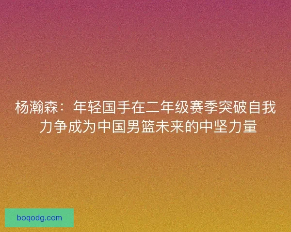 杨瀚森：年轻国手在二年级赛季突破自我 力争成为中国男篮未来的中坚力量